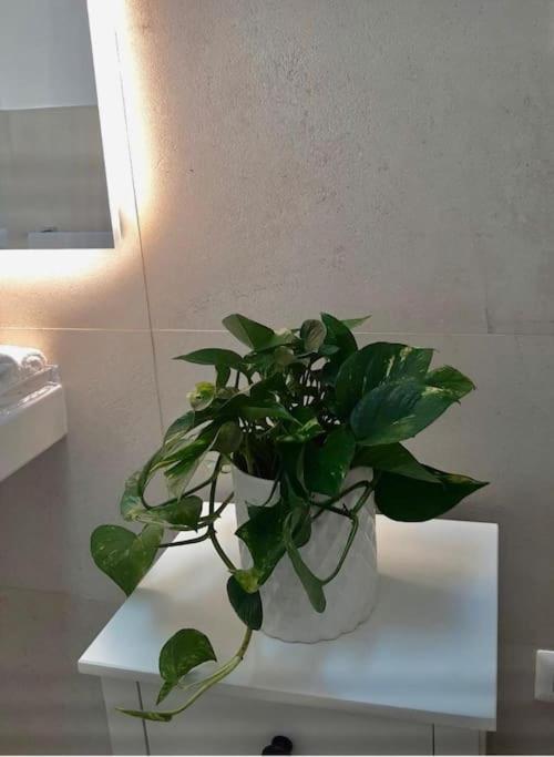 La Bella Appartement *